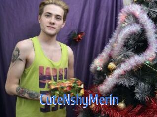 CuteNshyMerin