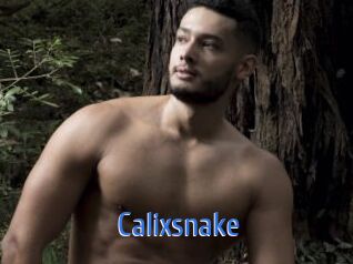 Calixsnake
