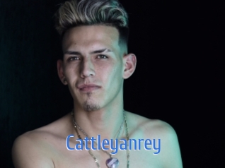 cattleyanrey 12x Gay