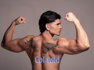col_wild 12x Gay