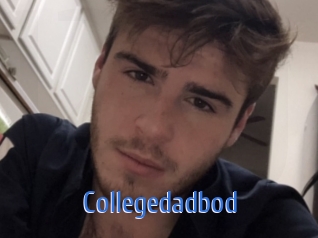 Collegedadbod