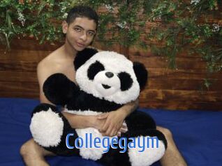 Collegegaym