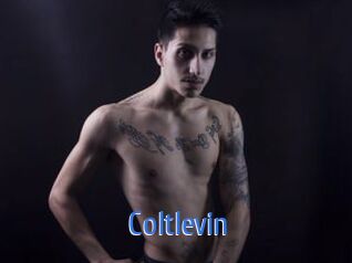 Coltlevin