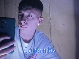 cpupsandov 12x Gay
