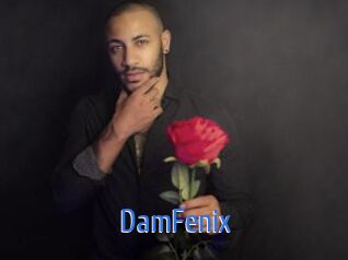 DamFenix