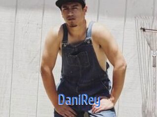 DaniRey 12x Gay