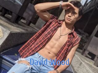 David_Wood