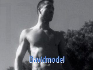 Davidmodel