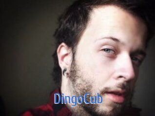 DingoCub
