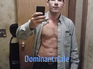 Dominantmale