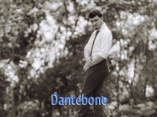 dantebone 12x Gay