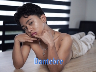 dantebre 12x Gay