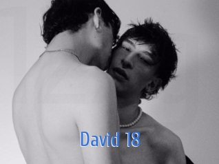 david_18 12x Gay