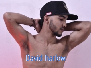 david_harlow 12x Gay