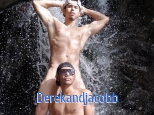 derekandjacobb 12x Gay