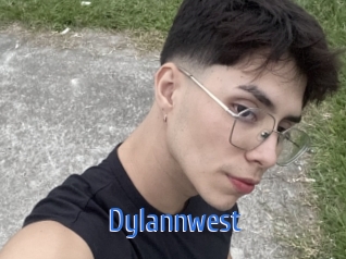 dylannwest 12x Gay