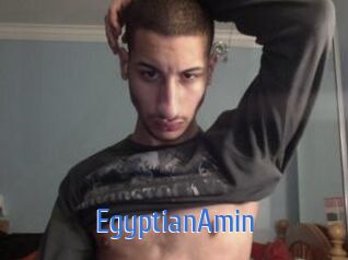 EgyptianAmin