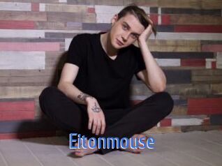 Eitonmouse