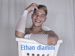 ethan_dlamini 12x Gay
