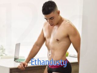 Ethandusty