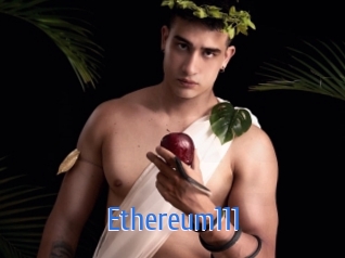 ethereum111 12x Gay