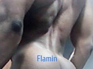 Flamin