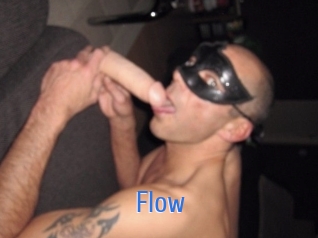 Flow 12x Gay