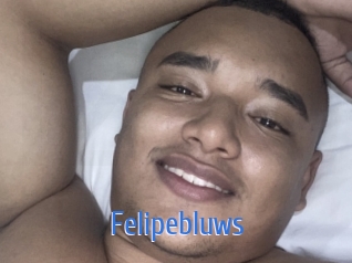 felipebluws 12x Gay