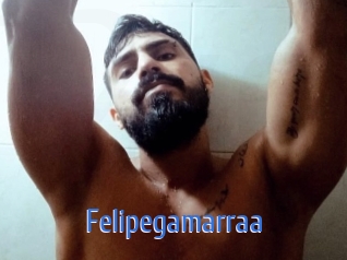 Felipegamarraa