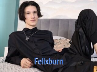 Felixburn