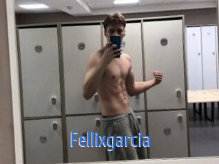 Fellixgarcia