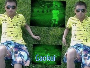 Gaokui
