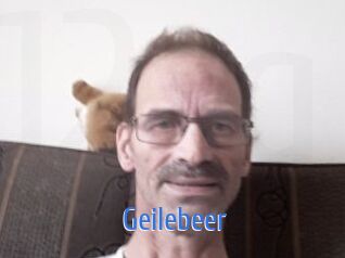 Geilebeer