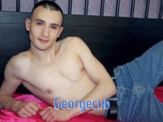 Georgecub