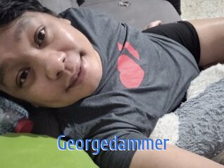 Georgedammer