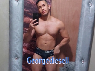 georgediesell 12x Gay