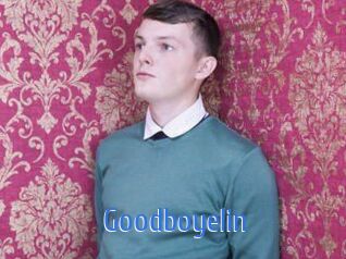 Goodboyelin