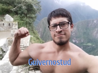 guivernostud 12x Gay