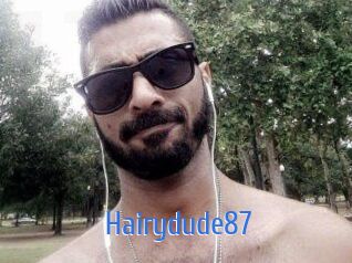 Hairydude87