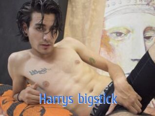 Harrys_bigstick