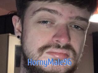HornyMale96