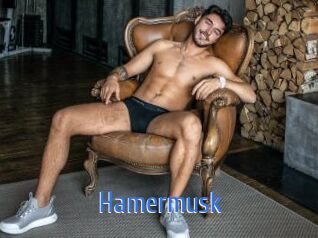 Hamermusk