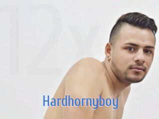 hardhornyboy 12x Gay