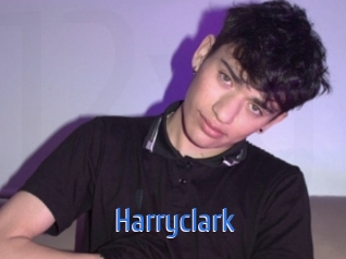 harryclark 12x Gay