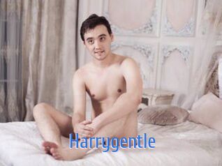 Harrygentle