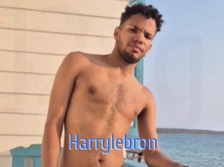 Harrylebron