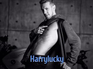 Harrylucky