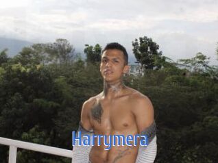 Harrymera