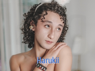 harukii 12x Gay