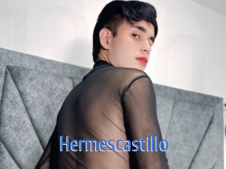 hermescastillo 12x Gay